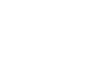 Dreamcatxer